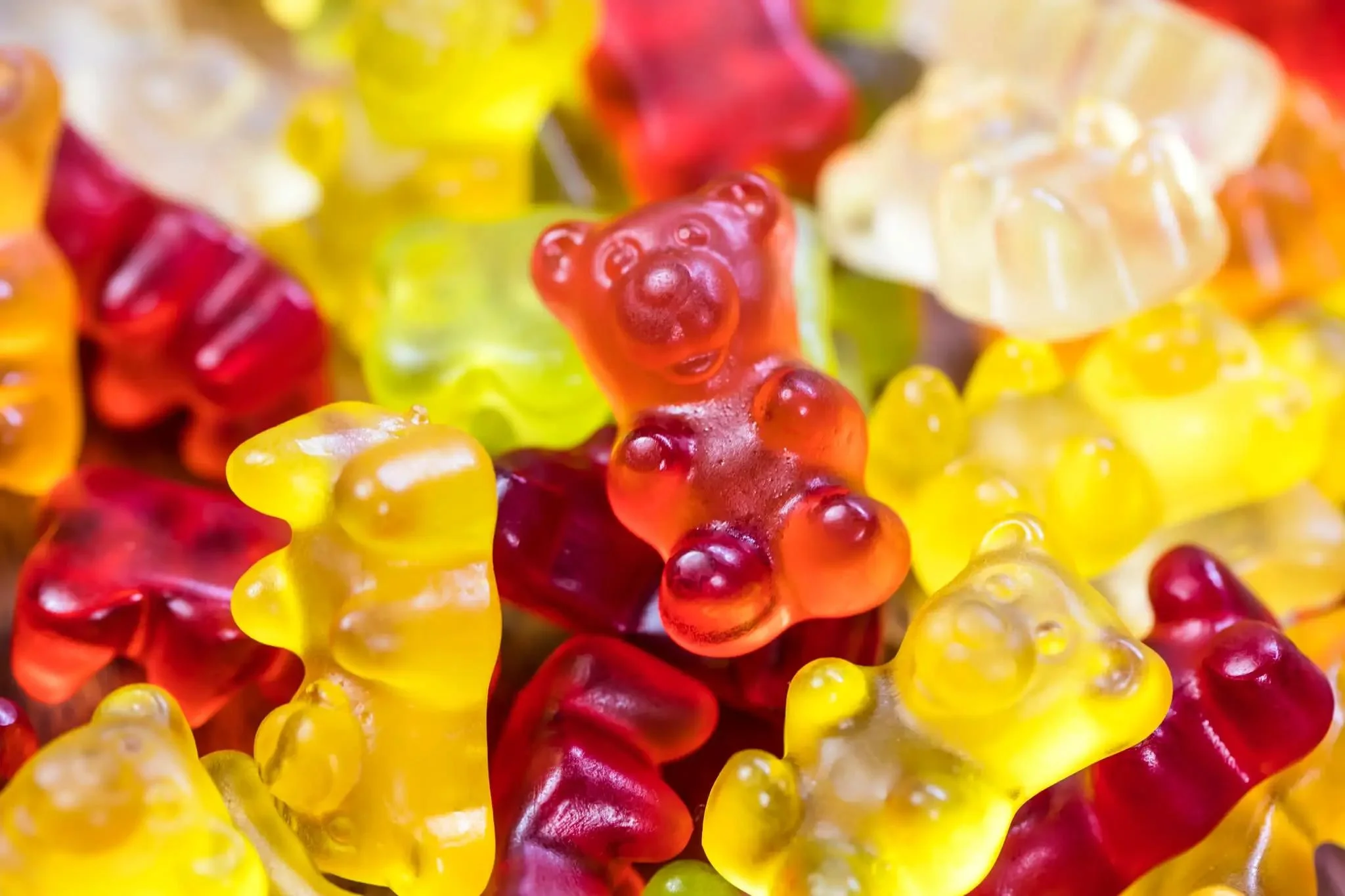 Haribo Gummy Bears